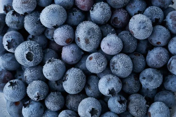 Fresh blueberries