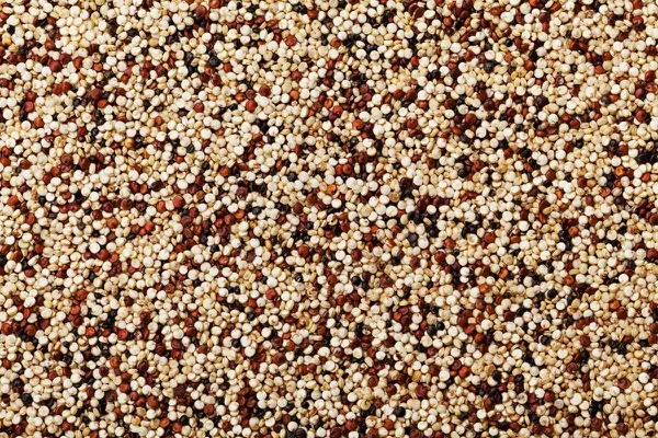 Mixed quinoa grains