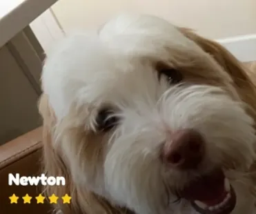 Newton — happy and smiling after switching to MaxSua